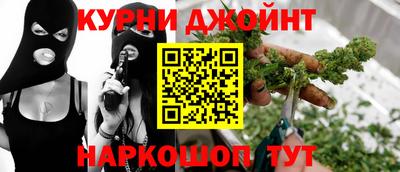 гашик Кингисепп