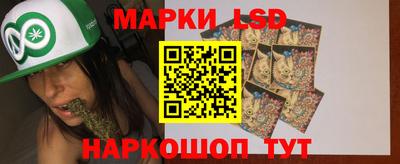 гашик Кингисепп