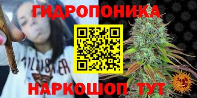 метадон Кимры