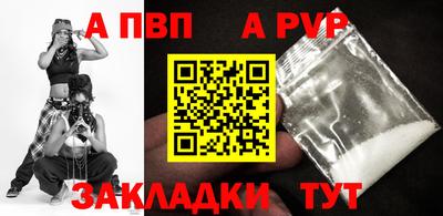 гашик Кингисепп