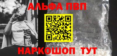 гашик Кингисепп
