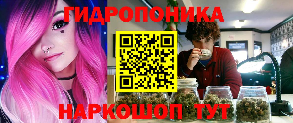 Каннабис план  Вход с VPN  Каннабис OG Kush  МАРИХУАНА White Widow  Южно-Сахалинск 